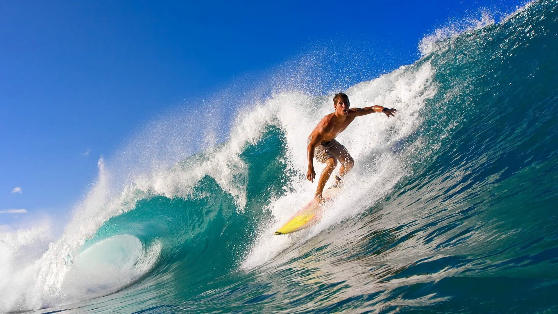 开云在线赛事平台-唯一性，林高远惊艳与失败中崛起的体育灵魂